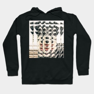 Glass Block Schnauzer looking at you Hoodie